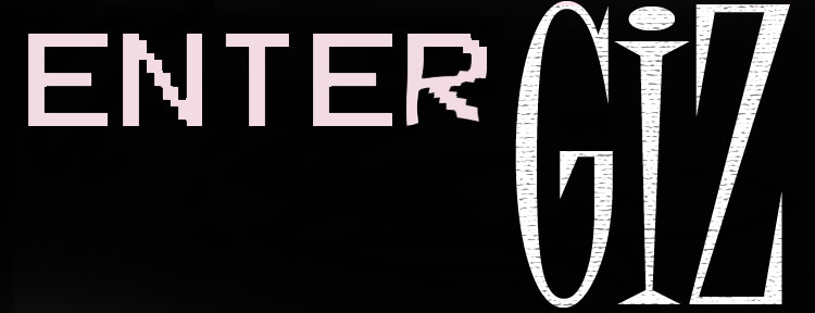 ENTER GIZ !