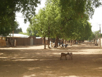 DÉCOUVERTE TOURISTIQUE DU CAMEROUN Yagoua