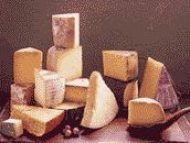 color photograph of hard cheese assortment