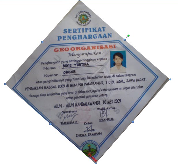 Сертификат волейбол