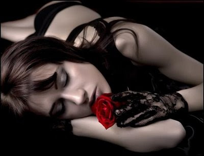 linda mulher deitada entre rosas vermelhas