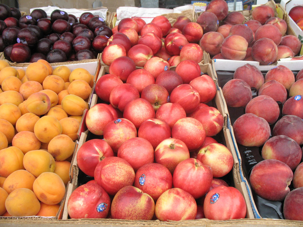 [fruit2.jpg]