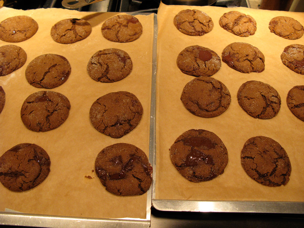 [cookie.jpg]