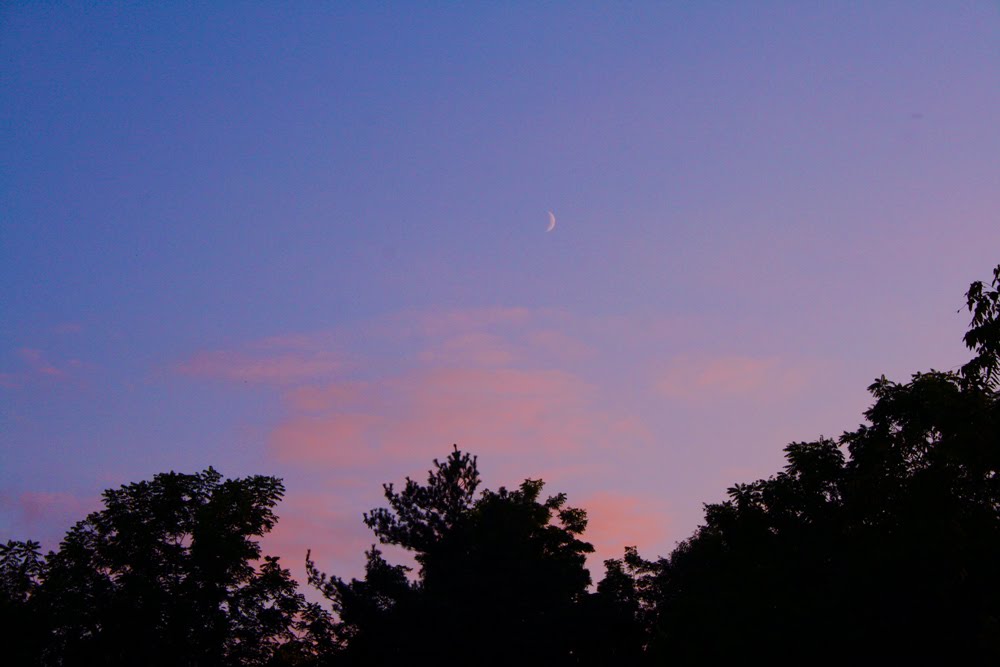 [summerevening_4533.jpg]