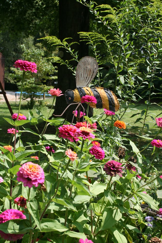 [zinnias_4614.jpg]