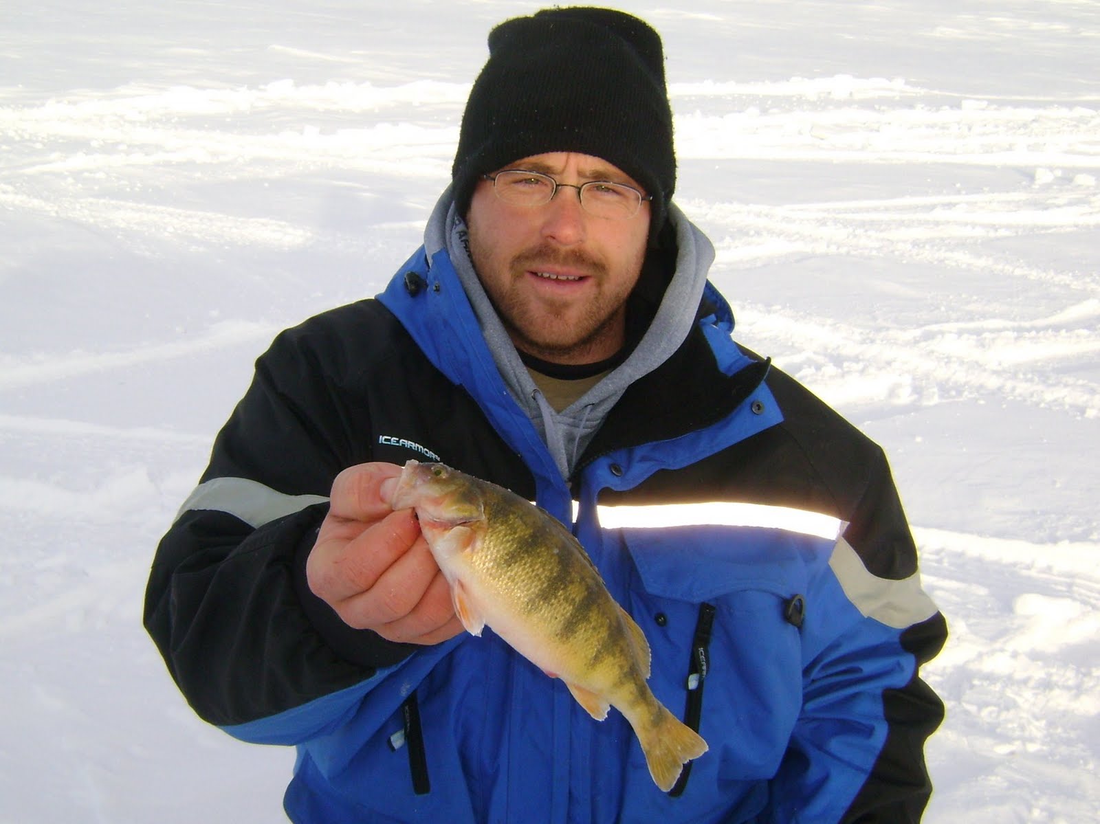 [perch+express+Day+5+006.JPG]