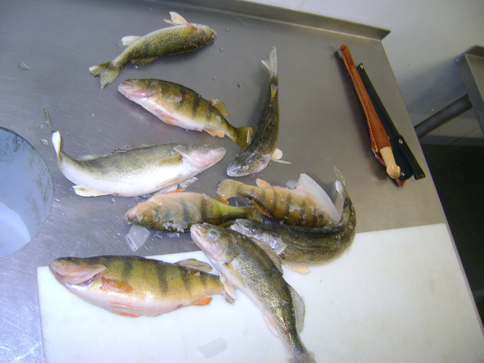 [perch+express+day+2+013.JPG]