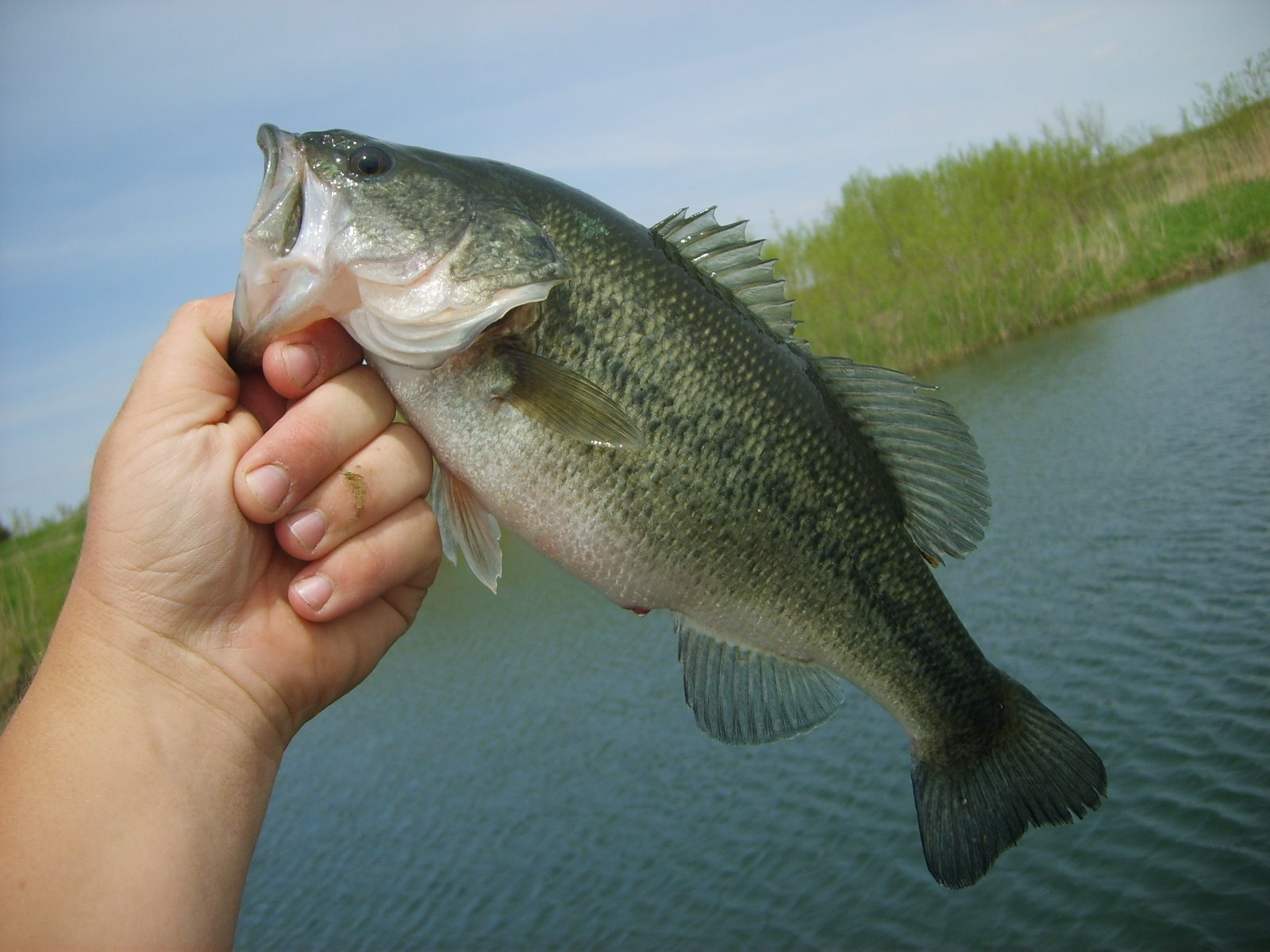 [Fishing+at+the+Lake+124.JPG]