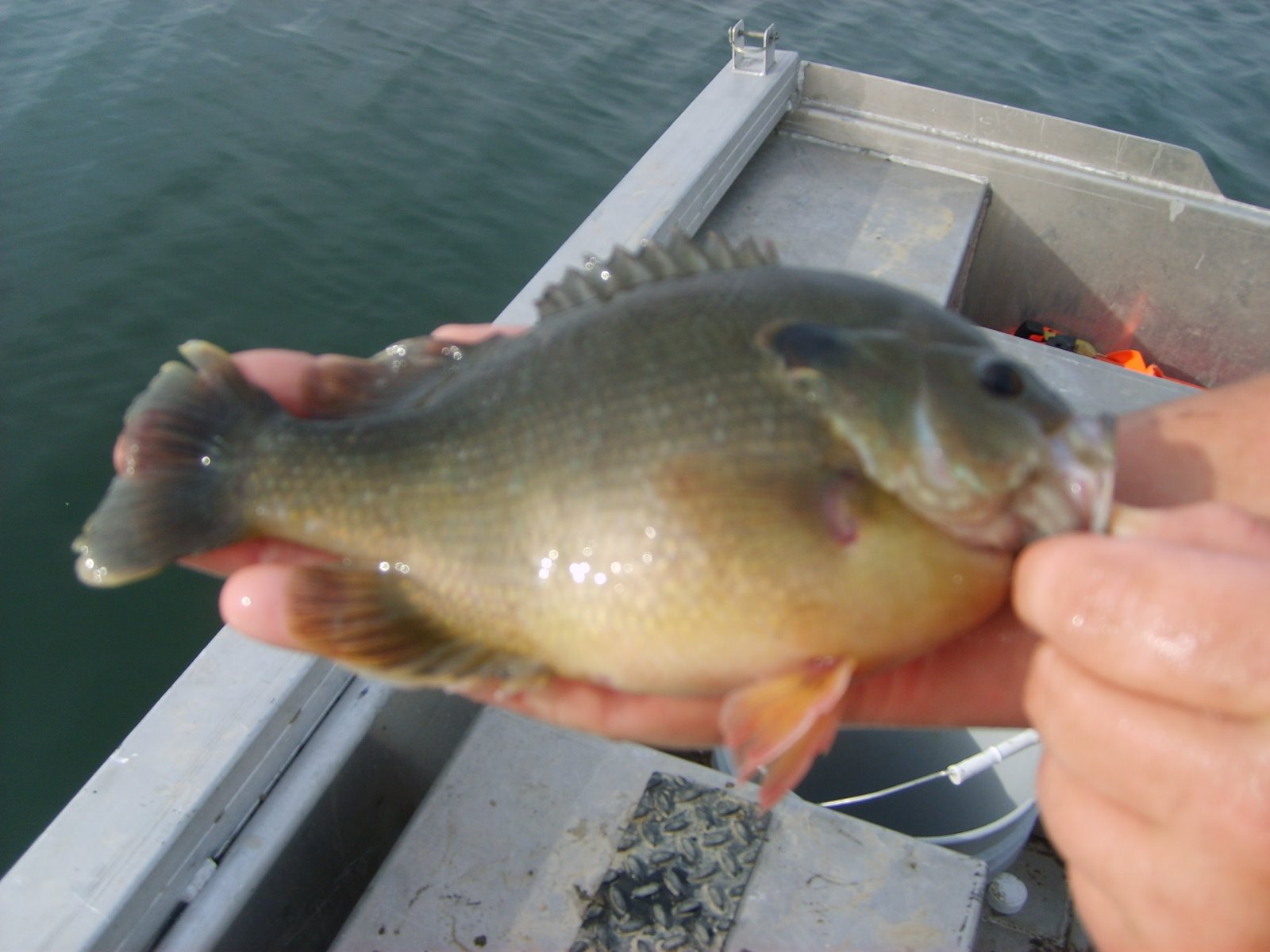 [Fishing+at+the+Lake+081.JPG]