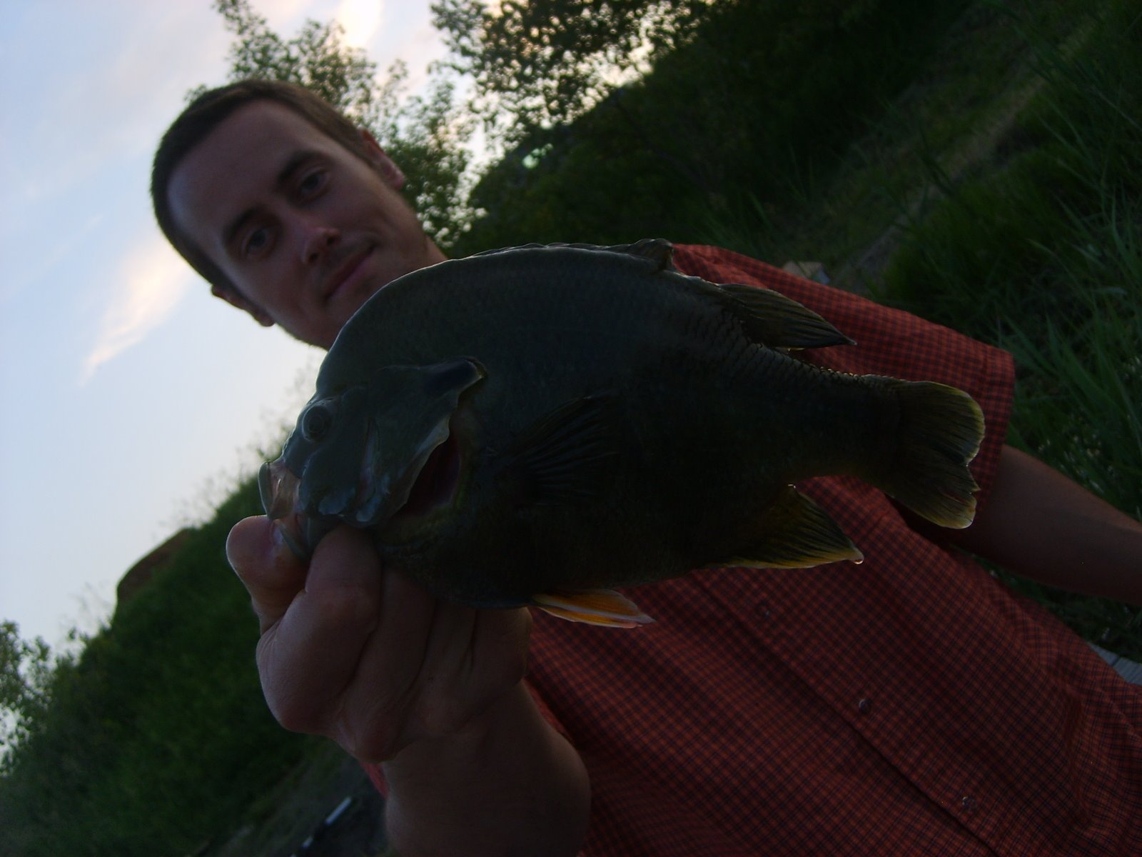 [good+fishin+037.JPG]