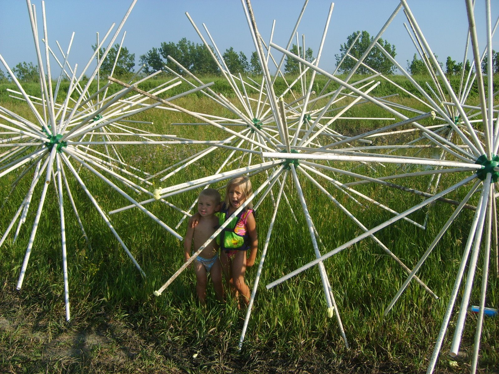 [porcupine+fish+attractors+012.JPG]