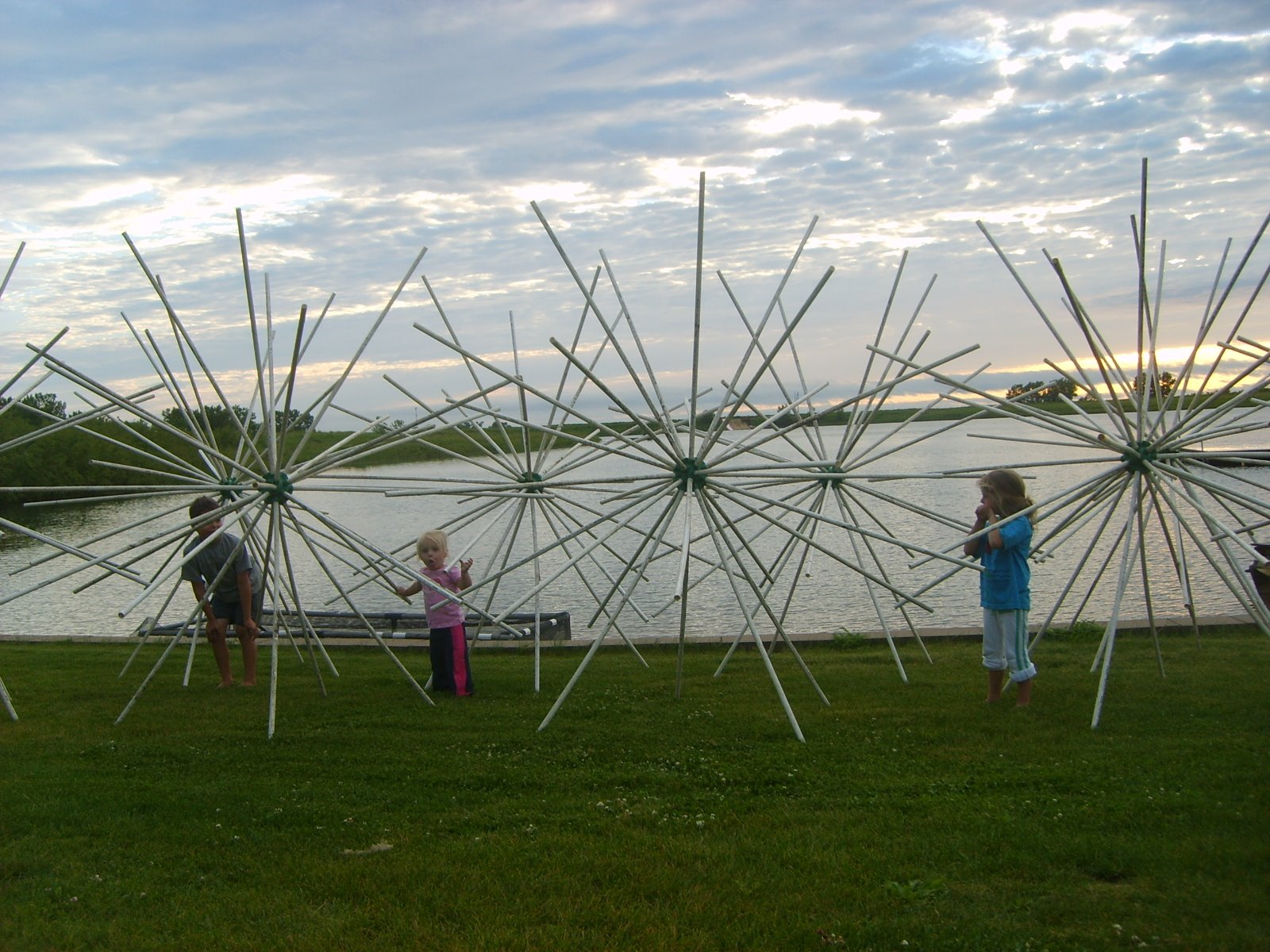 [porcupine+fish+attractors+024.JPG]