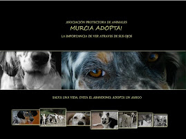 Murcia Adopta