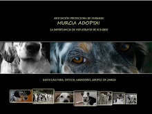 Murcia Adopta!