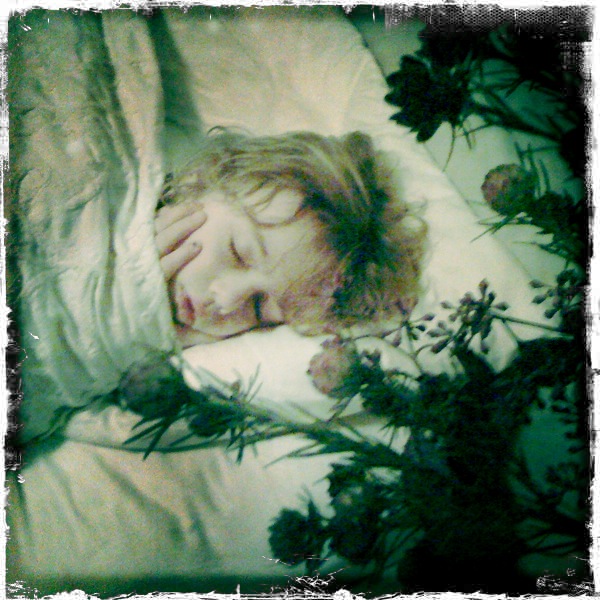 While visions of sugar plums danced in their heads