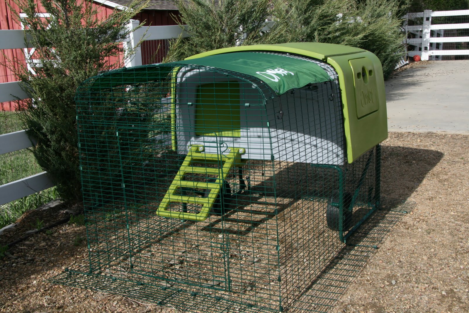 mychickenblog The Omlet Eglu chicken coop