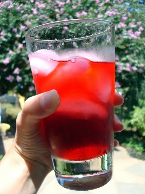Hibiscus Ginger Iced Tea and Martini