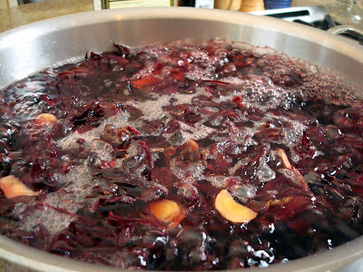 Hibiscus Ginger Iced Tea and Martini