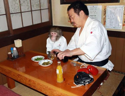 karate monkey review 2020