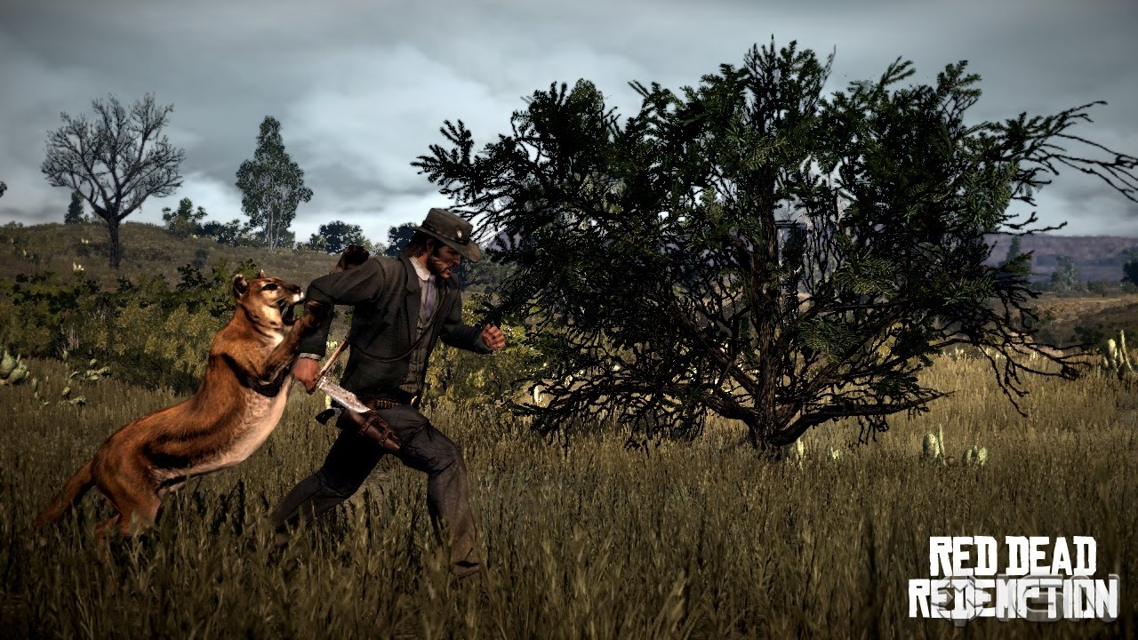 Red Dead Redemption 2: veja localização de todos animais lendários