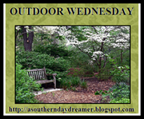 Celebrating the Great Outdoors on Wednesdays