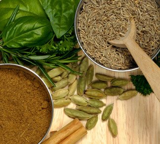 [şifalı+bitkiler.jpg]