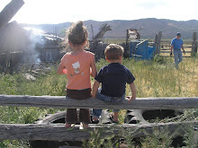 At The Farm