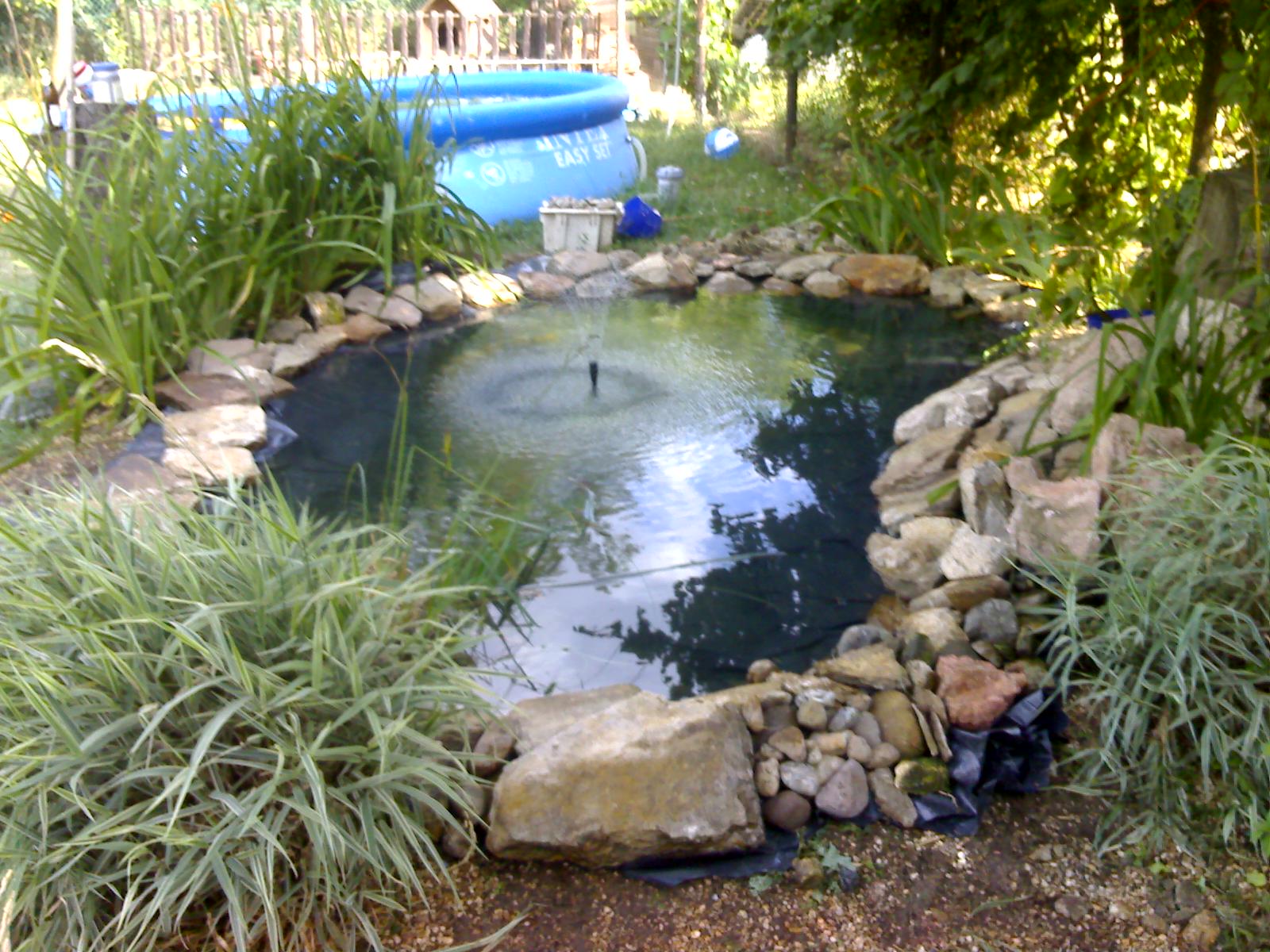 TOM FLOORING My pond in Csömör