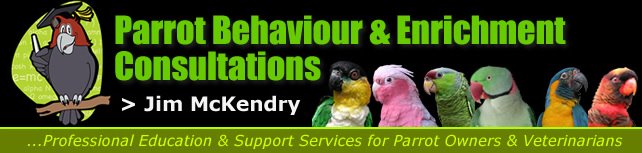 Parrot Behaviour & Enrichment Consultations