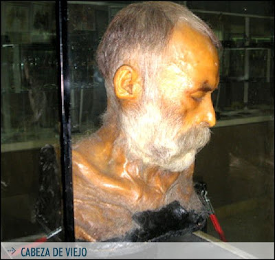 EL BLOG DE LA MUERTE MUSEO ANATÓMICO PEDRO ARA