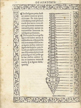 Cronoriflessologia (AgeGate Emotional Release)