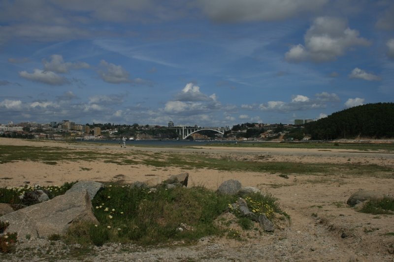 [2008.05.02+(701).jpg]