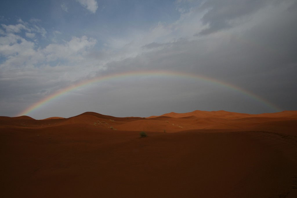 [2008.10.15+1+560.jpg]