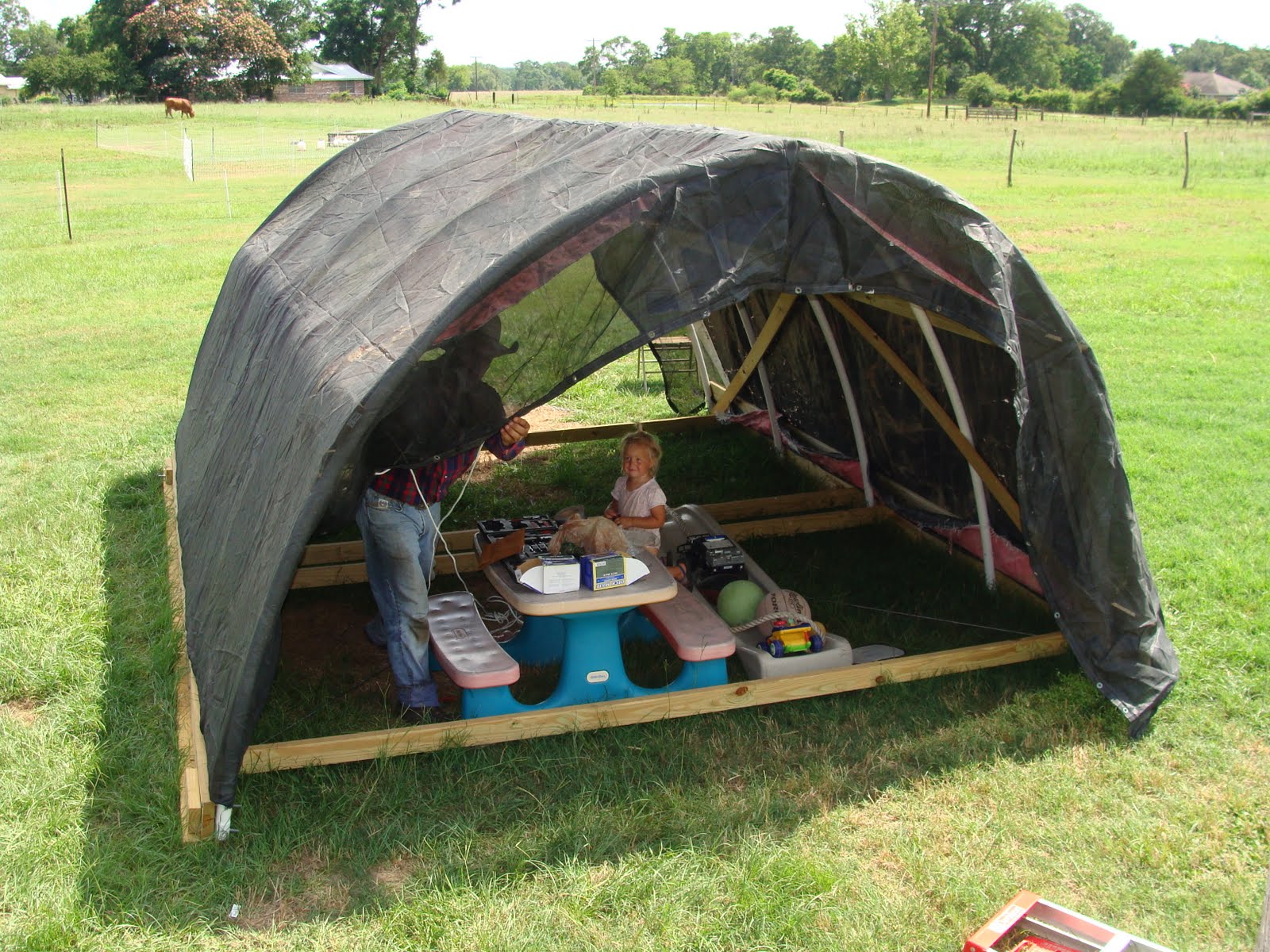 Herzog Family Farms The Chicken Hoop House Mid June 2010