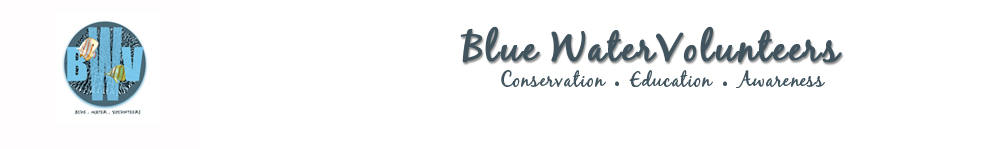 Blue Water Volunteers