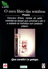 cartel campaña animacion a la lectura del gallego