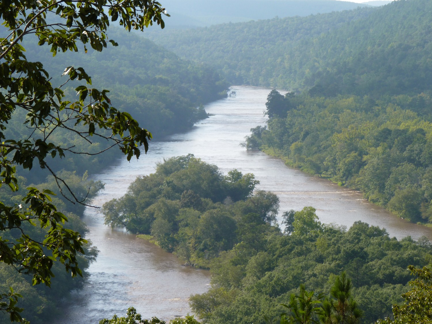 Let's Learn Something Flint River in Thomaston, GA