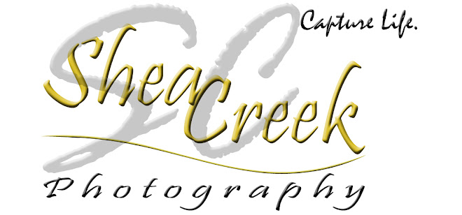 For Your Photography Needs, See My Web Site at