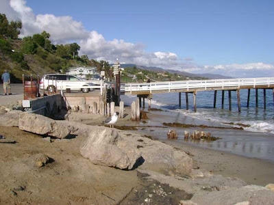 Birds Are There to Greet You - Paradise Cove, Malibu