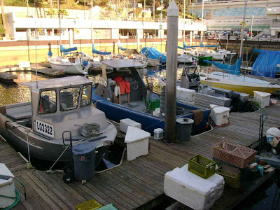 Boats in the Marina - Redondo Beach