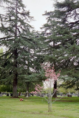 Mountain View Cemetery & Mausoleum - Altadena