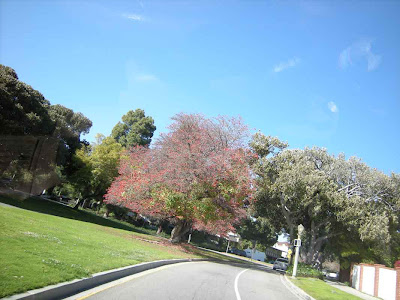 Colorful Entrance to Griffith Park - Griffith Drive