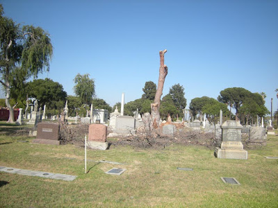 Angelus-Rosedale Cemetery - Los Angeles