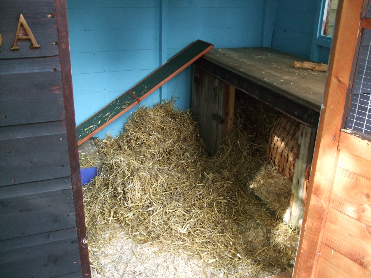 Anna Hull, Sock Bunny Maker to The World The Bunny House is Finished!