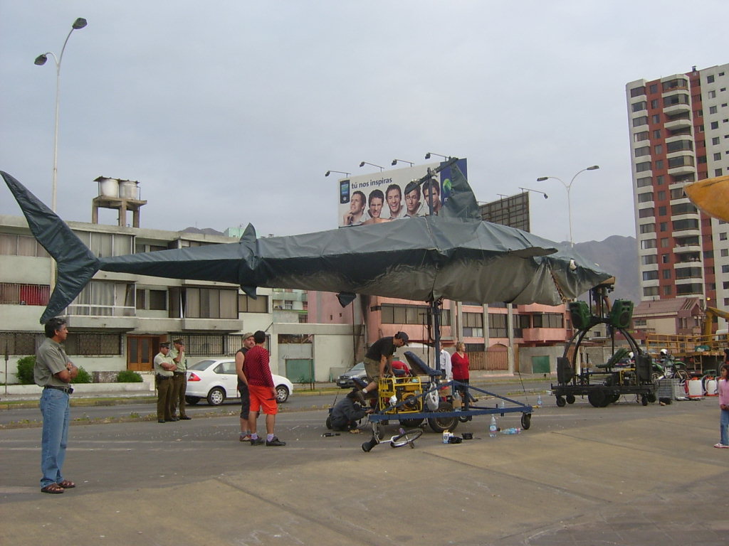 [S3600074.JPG]