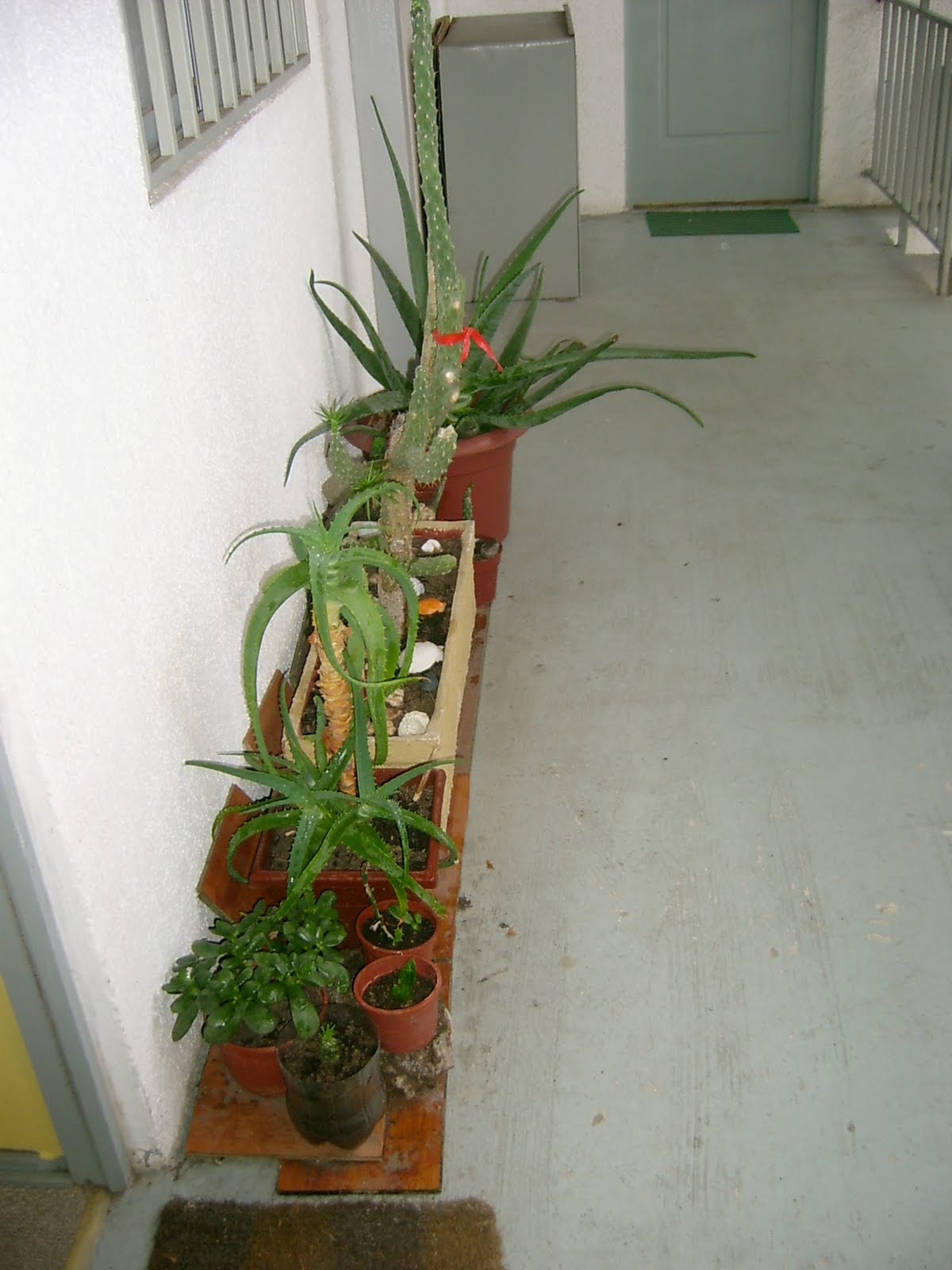 [S3600116.JPG]
