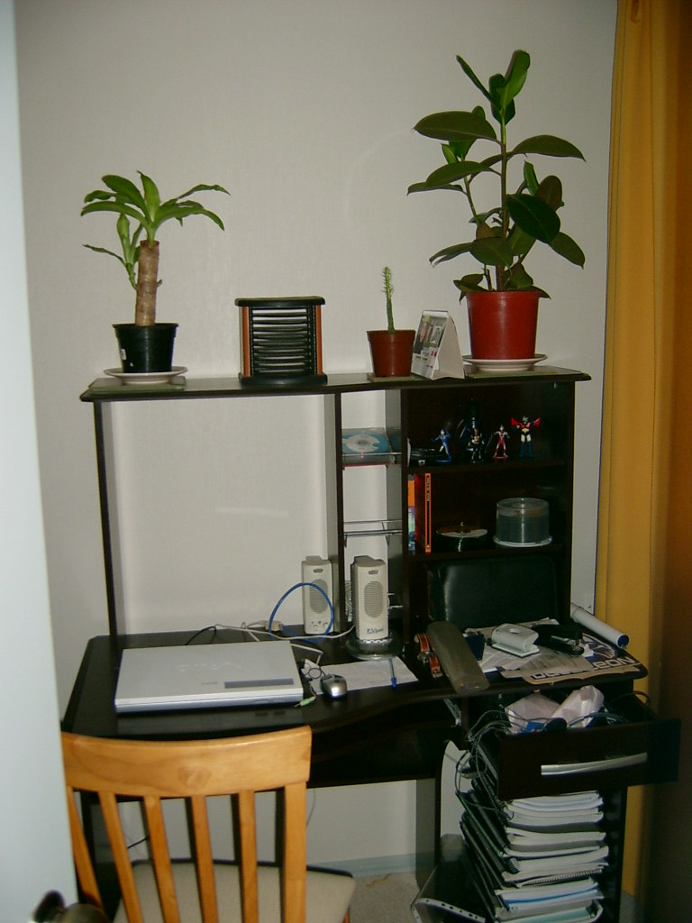 [S3600193.JPG]