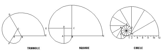 Vortex involute перевод