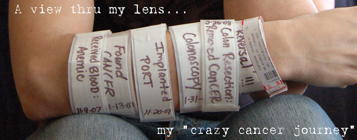 A view thru my lens...my Crazy cancer journey.