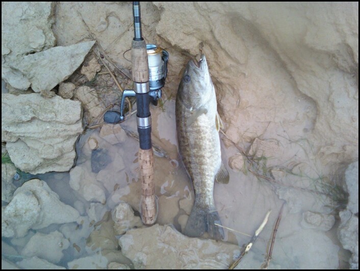 BASS BEER & BAIT Wilson Lake Kansas and Lake of the Ozarks vacation